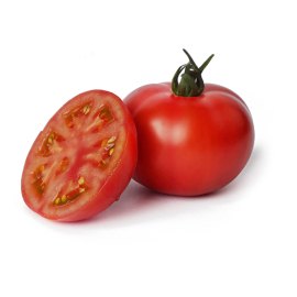 Tomate Tip Top