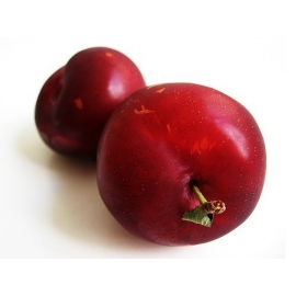 Ciruela Fresa