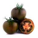 Tomate Kumato